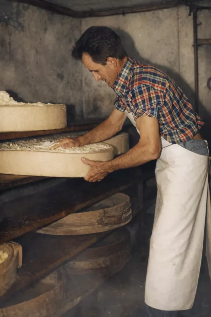 Fromager en train de saler une meule de comté dans une cave d’affinage traditionnelle