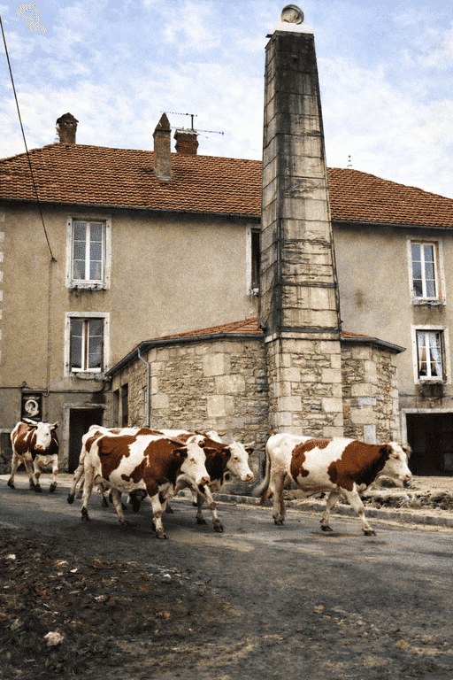 Affiche vintage de la Fromagerie-Musée de Trépot (Doubs) — Comté et tradition fromagère